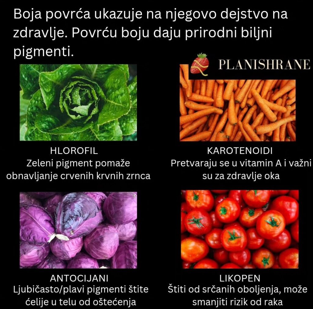 Biljne boje i njihovo dejstvo na zdravlje