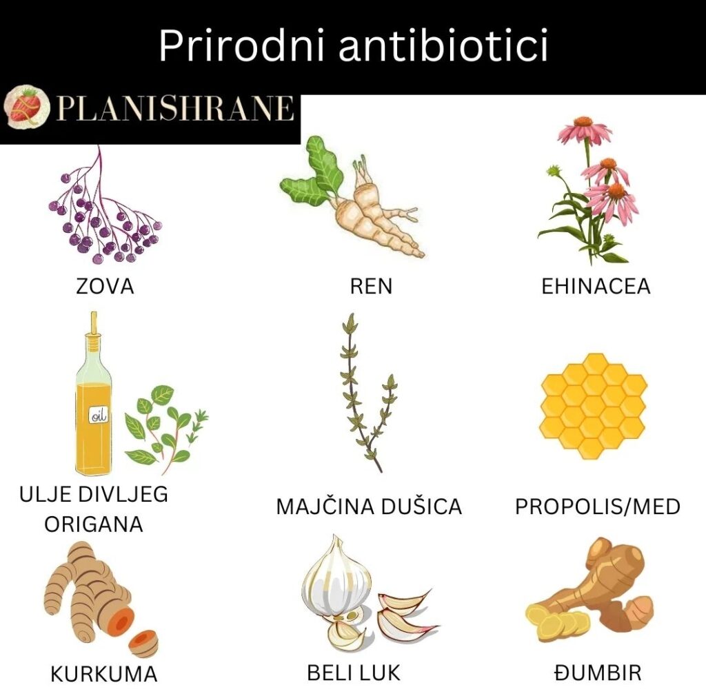 Prirodni antibiotici