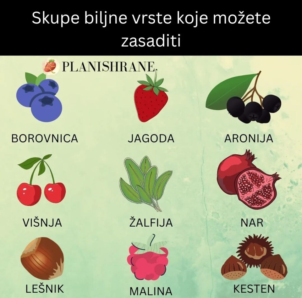 Skupe biljne vrste koje možete zasaditi