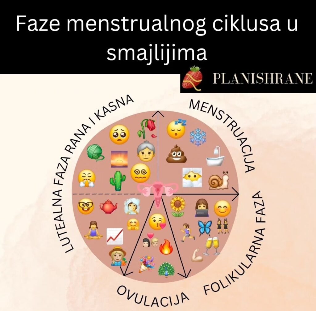Faze menstrualnog ciklusa