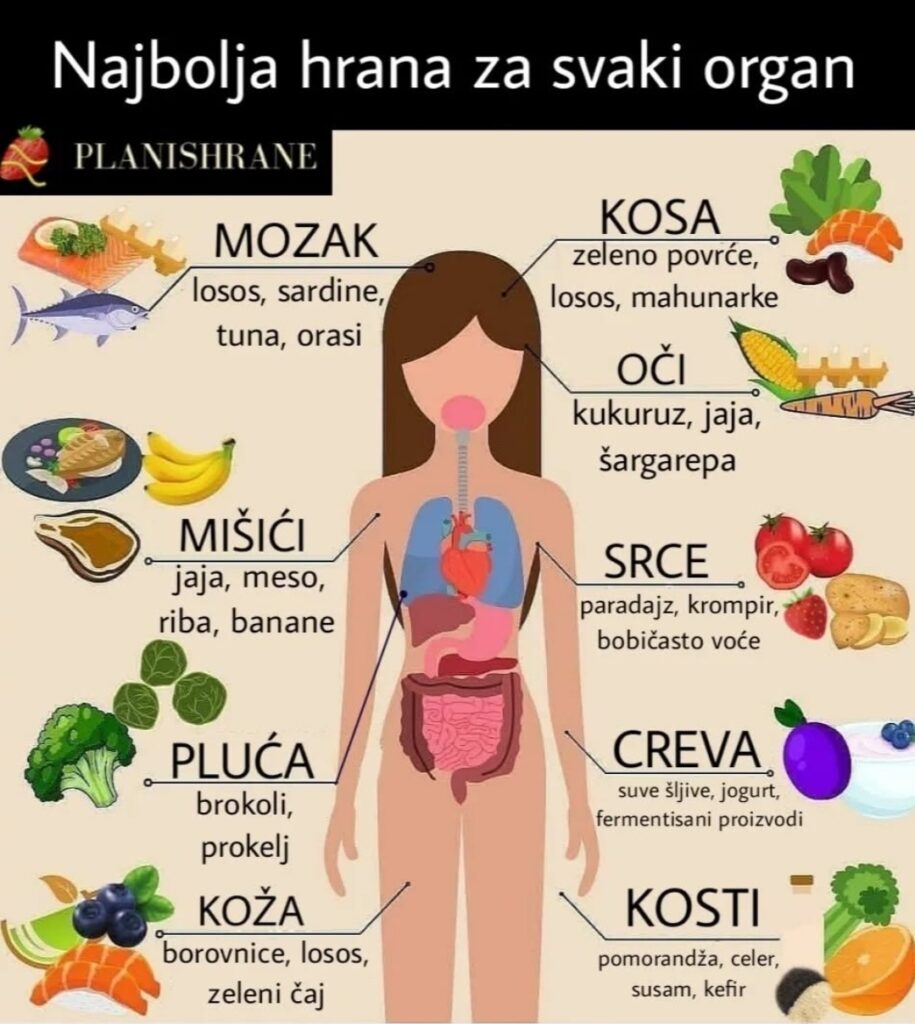Najbolja hrana za svaki organ