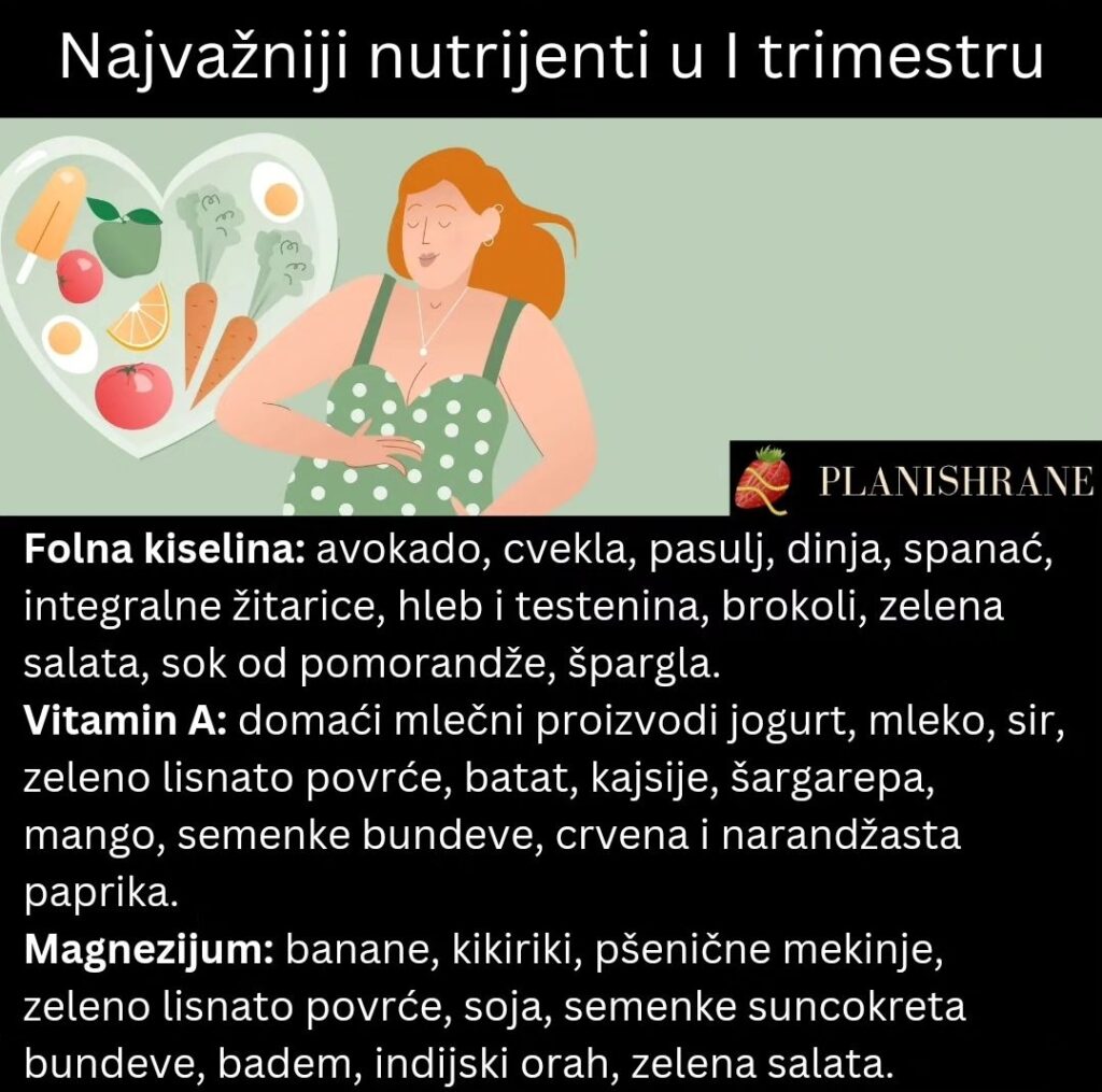 Najvažniji nutrijenti u I trimestru