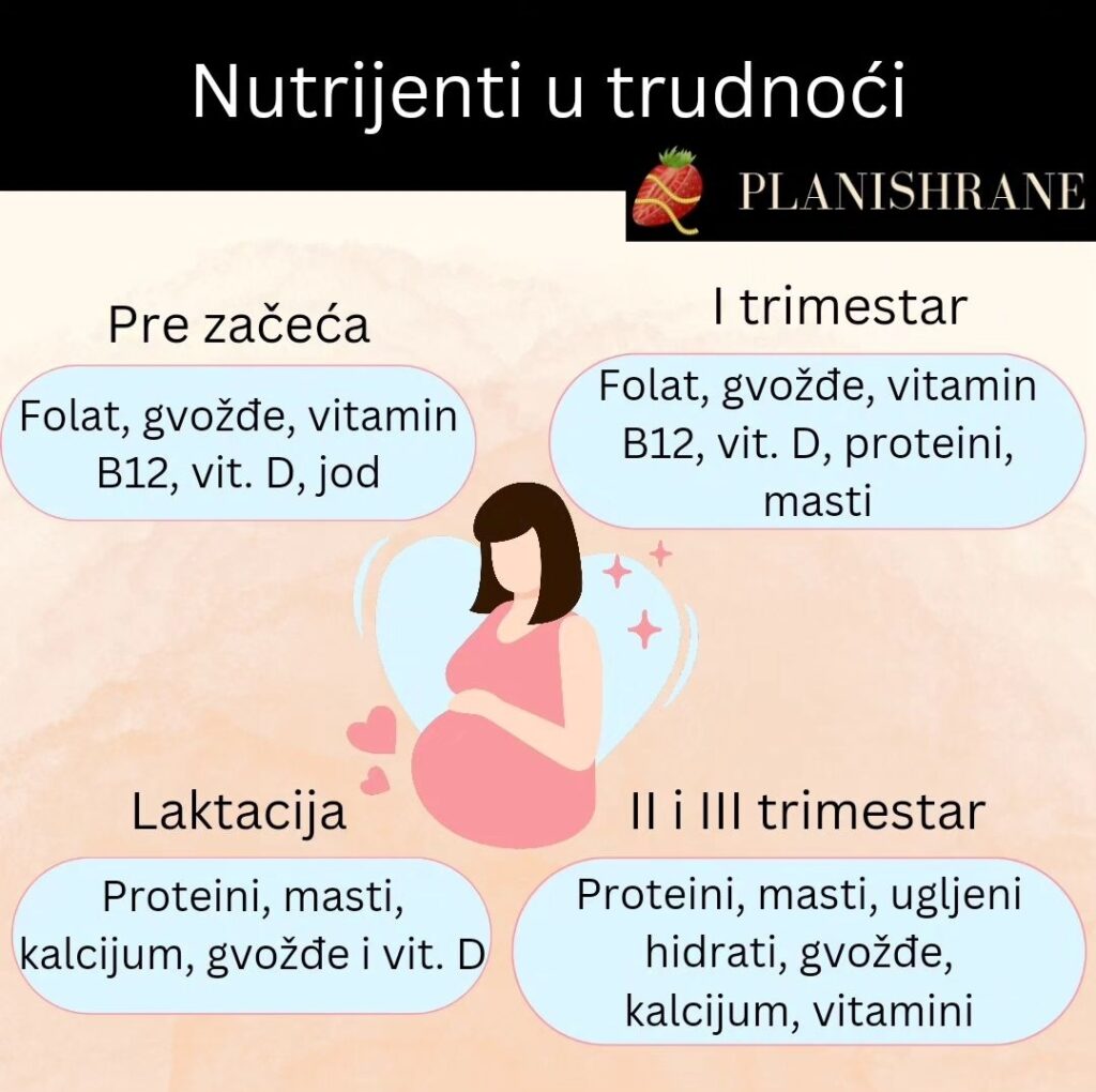 Nutrijenti u trudnoci