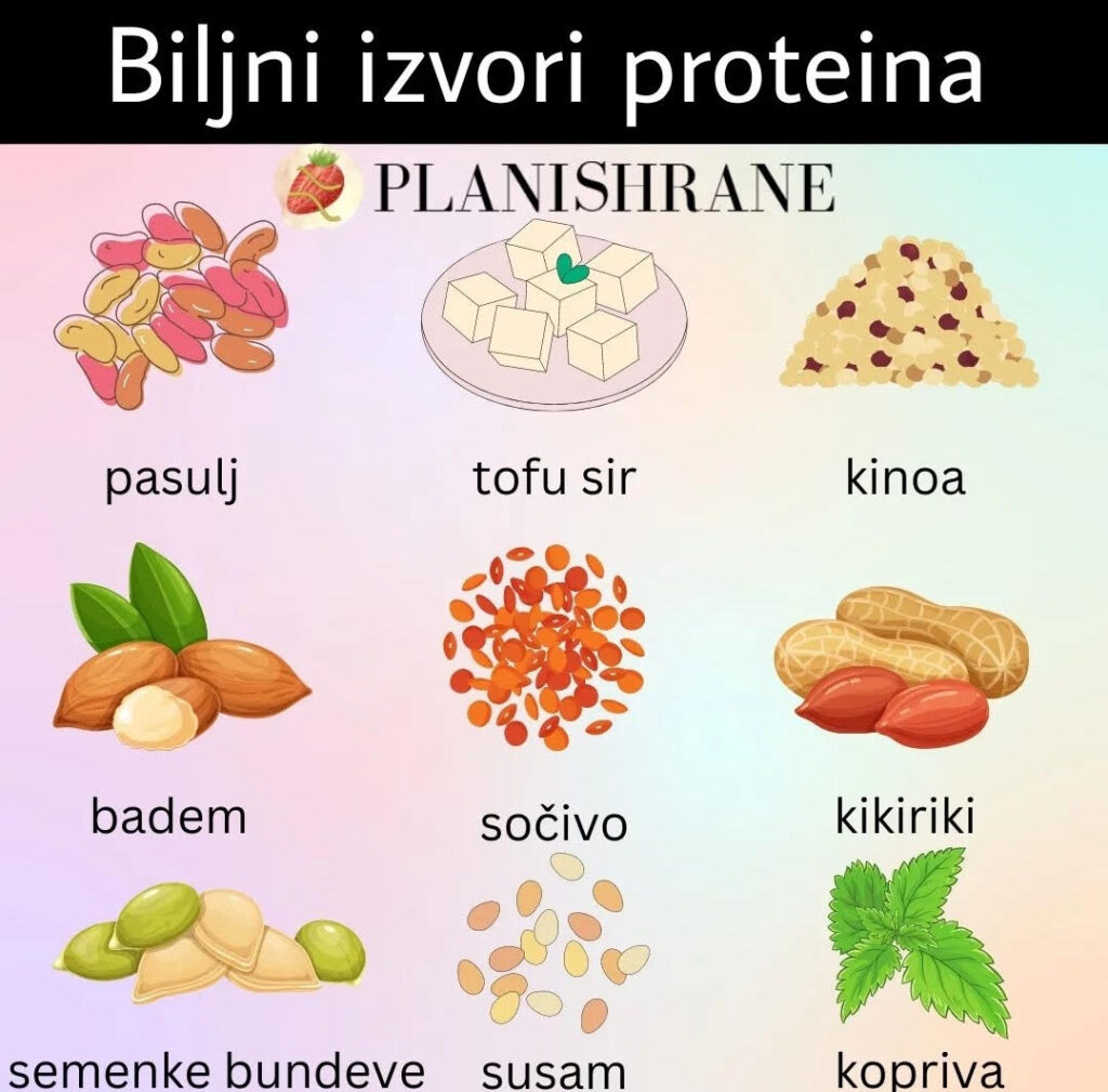 Biljni proteini