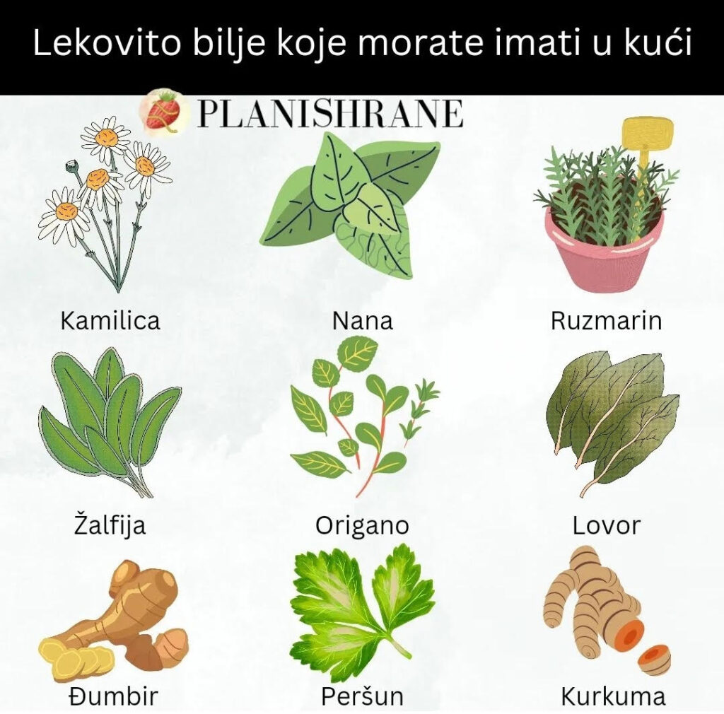 Lekovito bilje