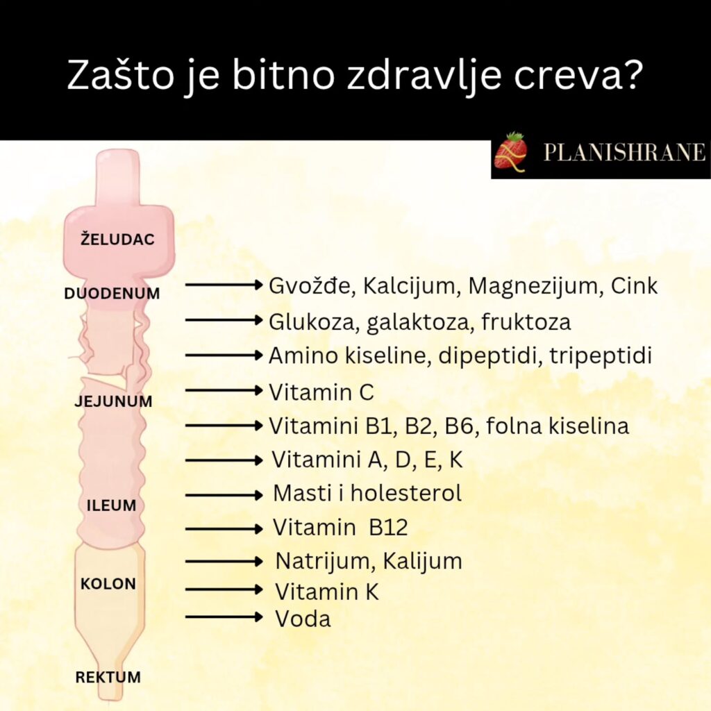 Zdravlje creva